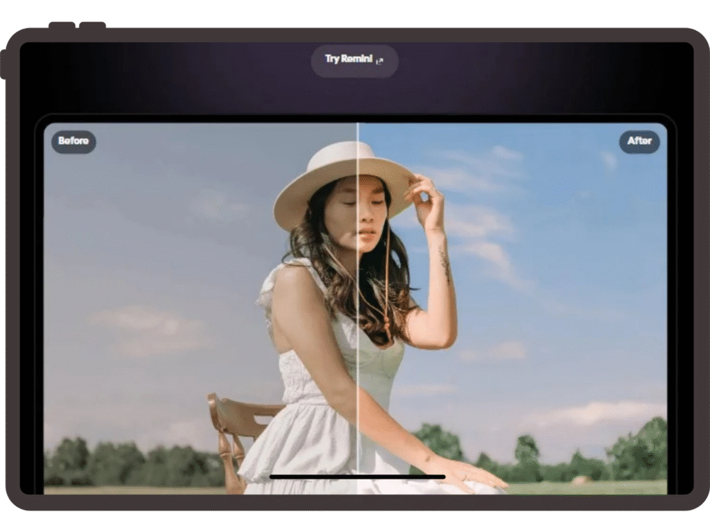 Remini web Color Correction image