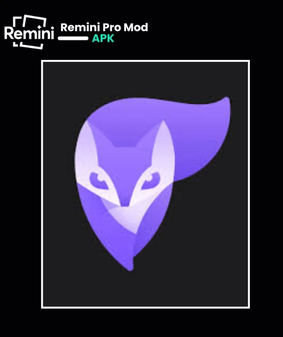 Photo Leap Vs Remini Comparison image