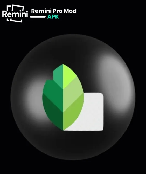 Snap Speed Vs Remini Editing Comparison