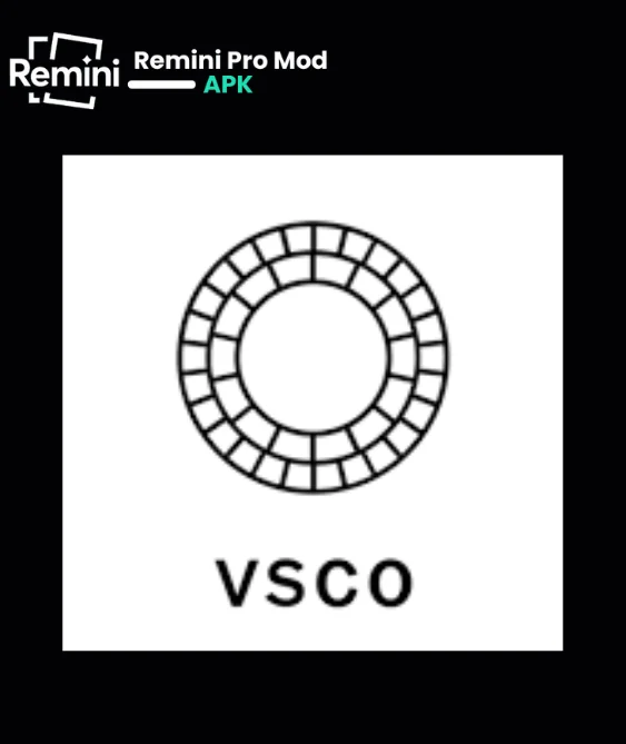 VSCO Vs Remini Comparison photo