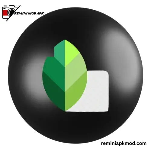 Snapseed Mod APK Photo